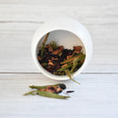 Tisanes Série Boréale - Infusion "Boréalys Fruitée" – Évasion Boréale aux Arômes Nordiques