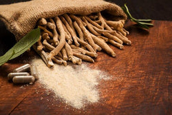 L’ashwagandha, le ginseng indien et ses propriétés