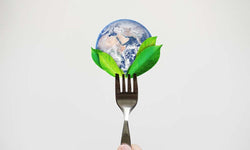 L’alimentation durable, c'est quoi? Et comment s'y prendre?