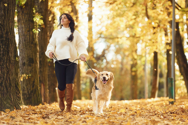 Sommeil perturbé à l’automne : comprendre pourquoi et retrouver des nuits réparatrices