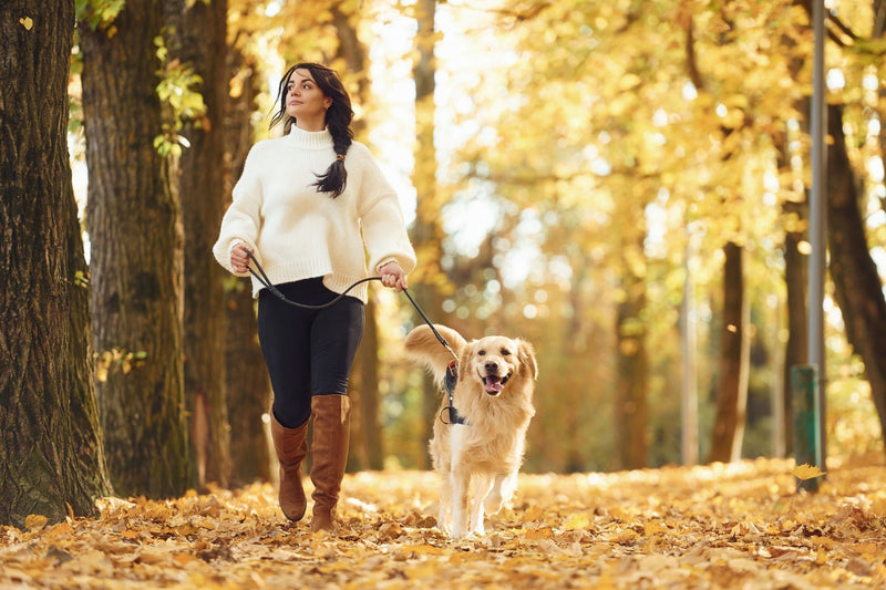Sommeil perturbé à l’automne : comprendre pourquoi et retrouver des nuits réparatrices