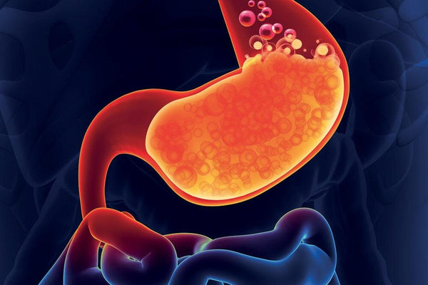 Le reflux gastro-œsophagien chez l’adulte