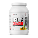 XPN - Delta Charge - Punch - 2 kg