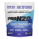 Pure Vita Labs - PVL - PROH2O - Artic Breeze - 612g