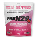 Pure Vita Labs - PVL - PROH2O - Artic Breeze - 255g