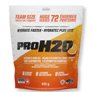Pure Vita Labs - PVL - PROH2O - Artic Breeze - 255g
