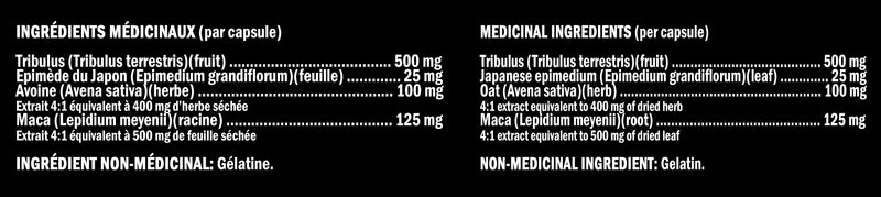 XPN - Predator Xtrem 2.0 Vitamines & Suppléments XPN 