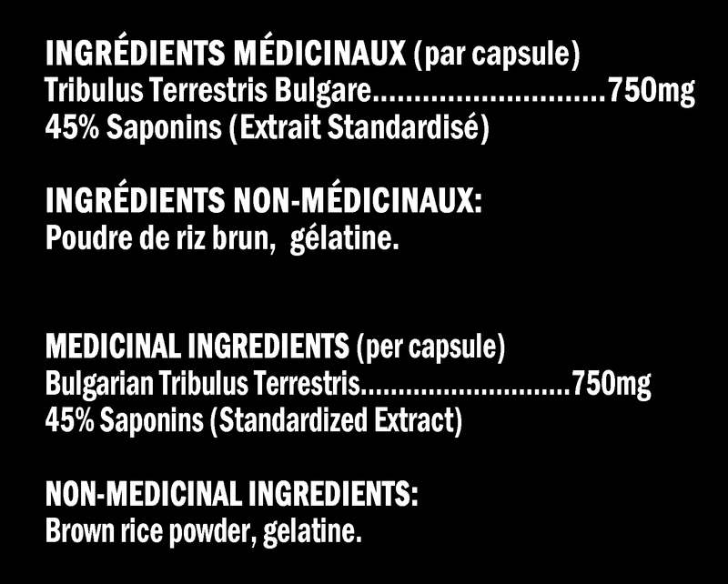 XPN - Tribul-X Vitamines & Suppléments XPN 